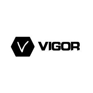 vigor logo