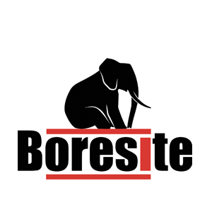 boresite web