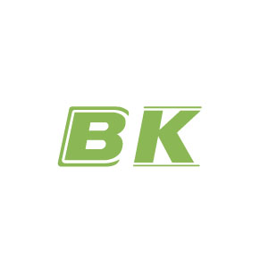 BK BIGGER WEB